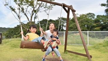 施設の敷地 / 12