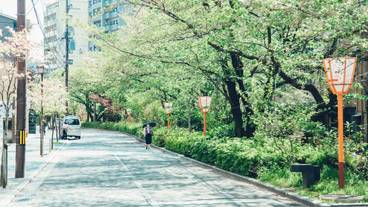 施設からの眺望 / 15