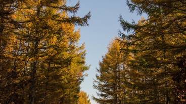 施設からの眺望 / 21