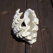 Resort life kabira（石垣島）（沖縄県 ペンション） / 4