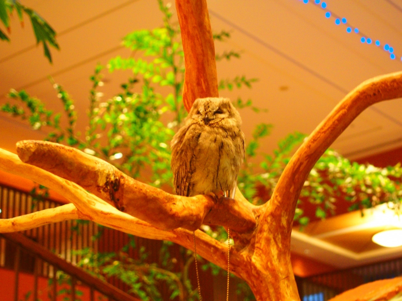 可愛い動物達やヒーリングプールに癒される♪4379039