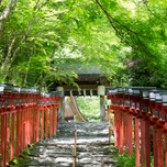 「ザ・京都」な写真が撮れる♩京都市内のおすすめ観光スポット12選