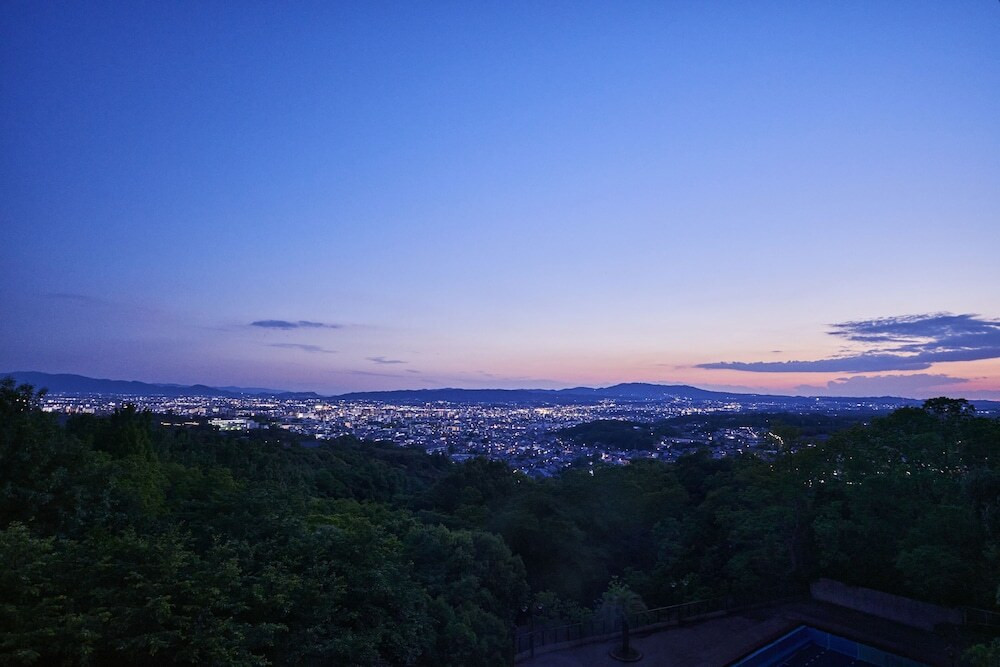 奈良の夜景 （奈良県奈良市若草山から） ※2017年4月撮影