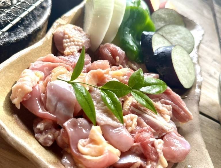 「野乃家」の地鶏 / 4