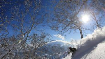 スノー スポーツとスキー / 7