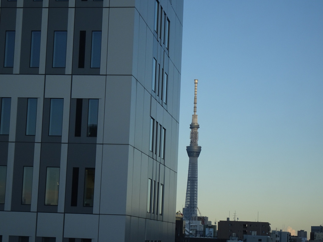 スカイツリーが見えます