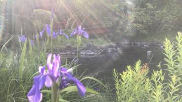 施設からの眺望 / 2