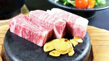 食事・飲み物 / 33