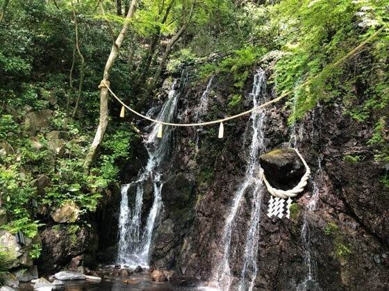 usagi672さんの写真 / 7