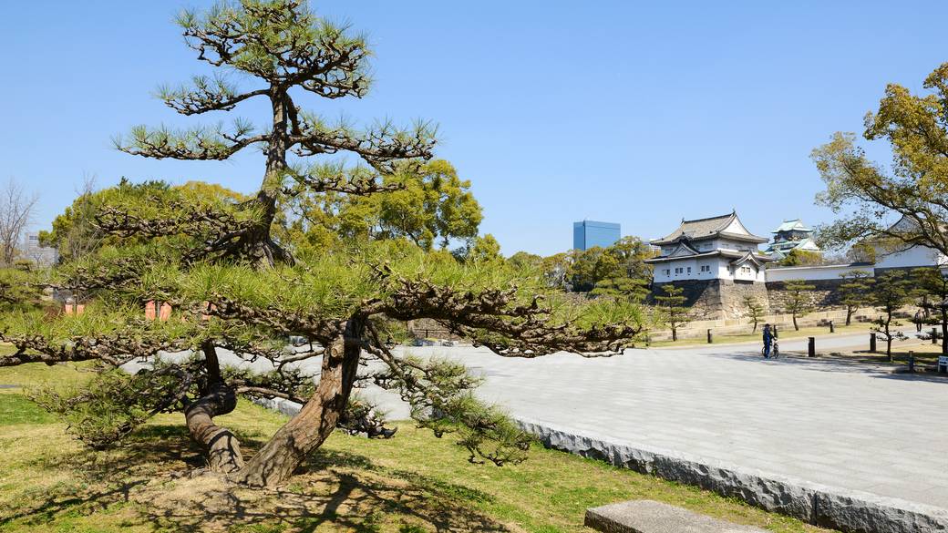 大阪城公園 / 3
