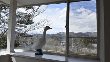 施設からの眺望 / 8