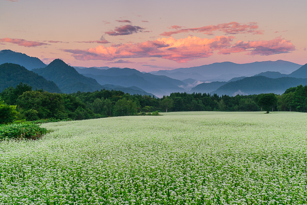1泊でもゆっくりと過ごせる”美味しい”福島4025855
