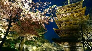 観光スポット / 14