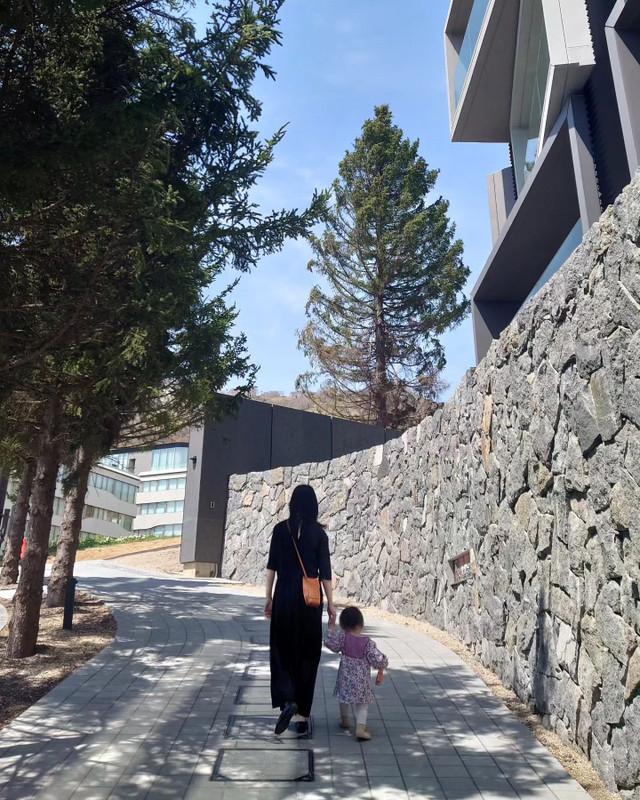 shibawellnessさんの写真 / 1