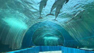 観光スポット / 10