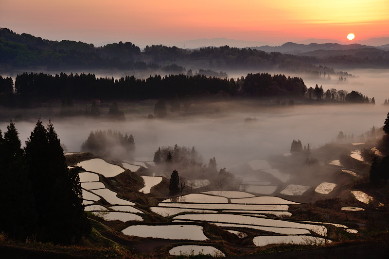 3. 一度見たら忘れられない！二人の思い出に残る田園風景「星峠の棚田」1744373