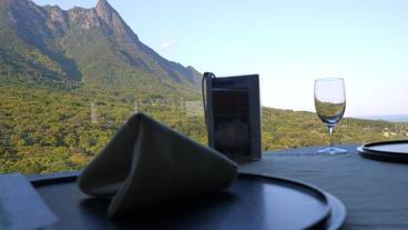 マウンテン ビュー / 16