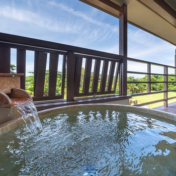 海を眺めて潮風を感じながら入浴♪お部屋のタイプも豊富！3457357