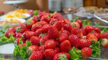 ビュッフェ / 25