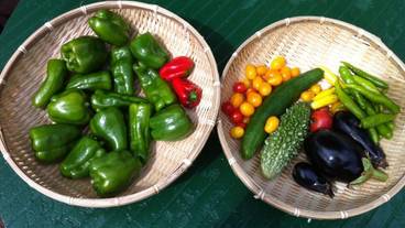 食事・飲み物 / 1