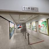 東横イン富士河口湖大橋（山梨県 ビジネスホテル） / 3