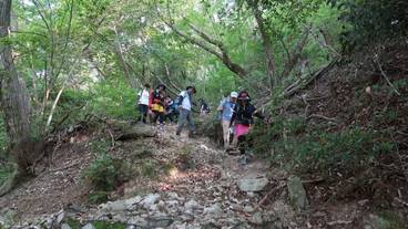 観光スポット / 8