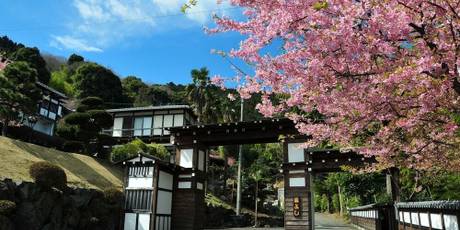 伊東温泉 横浜藤よし伊豆店