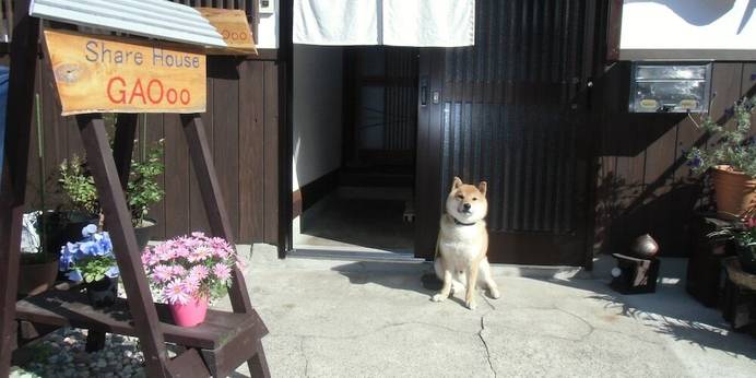 金澤町家シェアハウスGAOoo（石川県 民宿） / 1