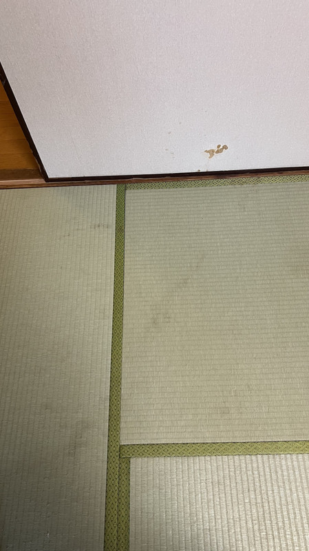 よく見ると、汚れが目立ちます。