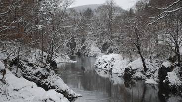 ランド ビュー / 20