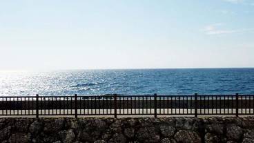 ビーチ / オーシャン ビュー / 11