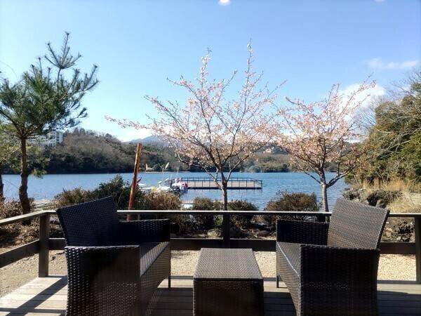 テラスカフェ一碧湖 / 2