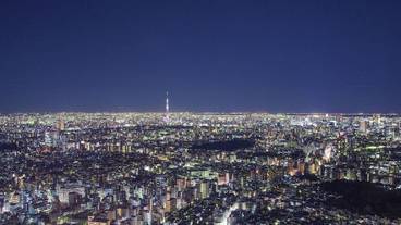 シティ ビュー / 39