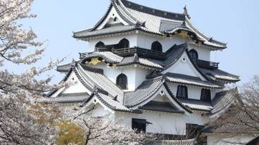 シアター ショー / 4