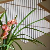 日の出屋旅館（静岡県）（静岡県 旅館） / 5