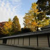 ゲストハウス 京都阿美家（京都府 ゲストハウス・ホステル・ドミトリー） / 4