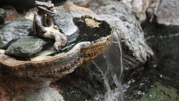 施設の敷地 / 23