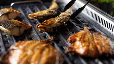 朝食ビュッフェ / 22