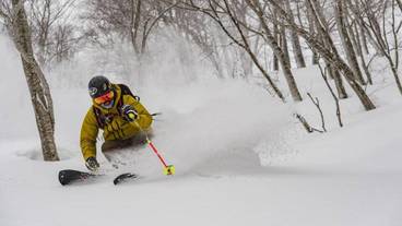 スノー スポーツとスキー / 8