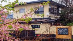 菊池温泉 木立ちの中の宿 清流荘