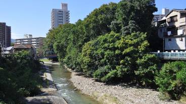 施設からの眺望 / 6