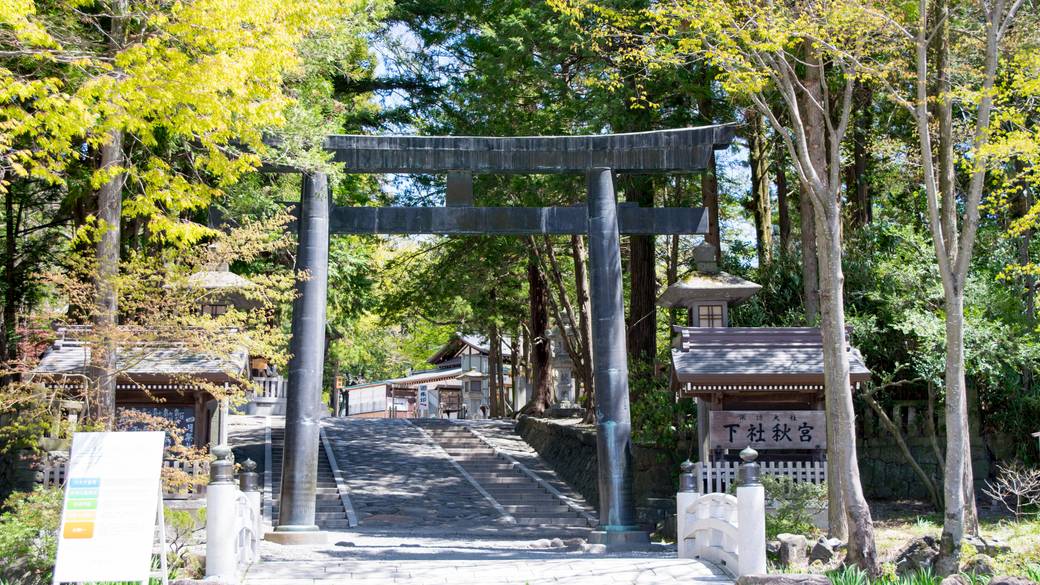 諏訪大社 下社秋宮② / 1