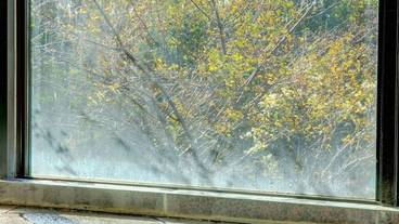 マウンテン ビュー / 16