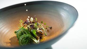 食事・飲み物 / 14