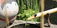 猫好き必見☆東京で参拝できる猫寺＆猫神社のスポット8選