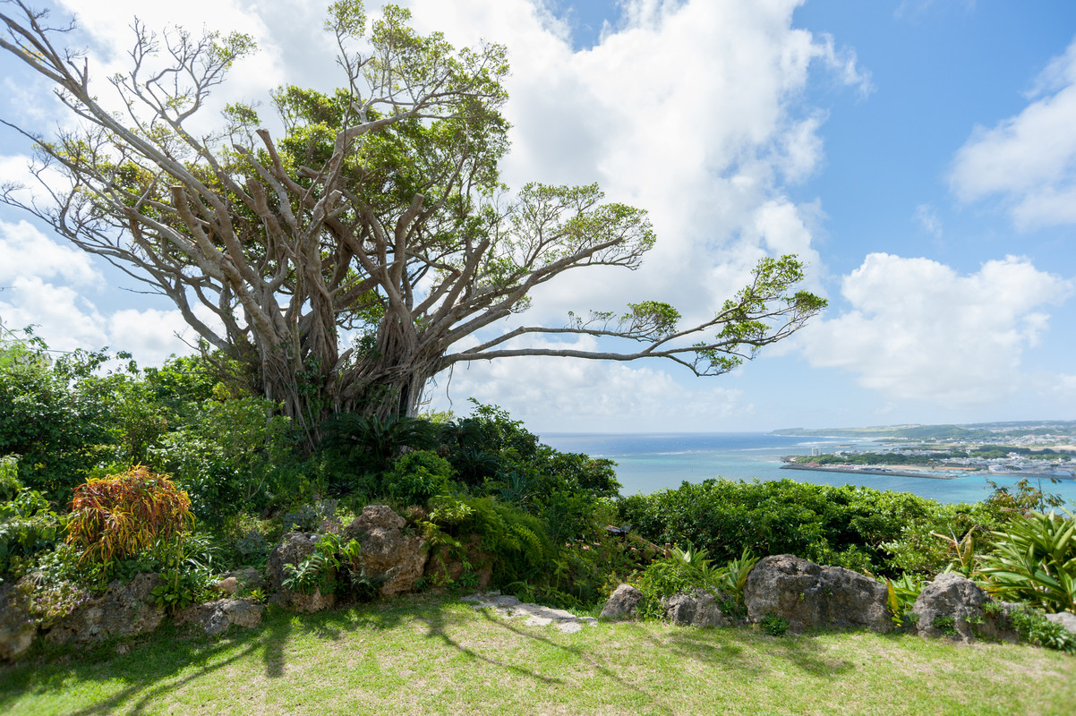 さちばるの庭 頂上の景色
