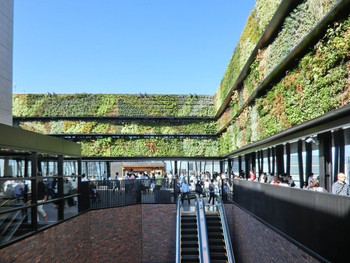「櫻ノ茶屋」その他 1187035 屋上のキリコテラスの風景です