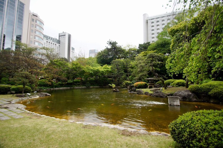 usatamapon0326さんの写真 / 2