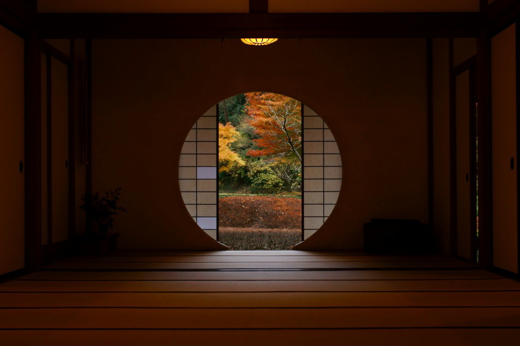 雨の日もまた一興2287076