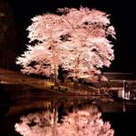 下呂温泉と桜の名所で春を感じる旅へ♡カップルにおすすめの旅館6選